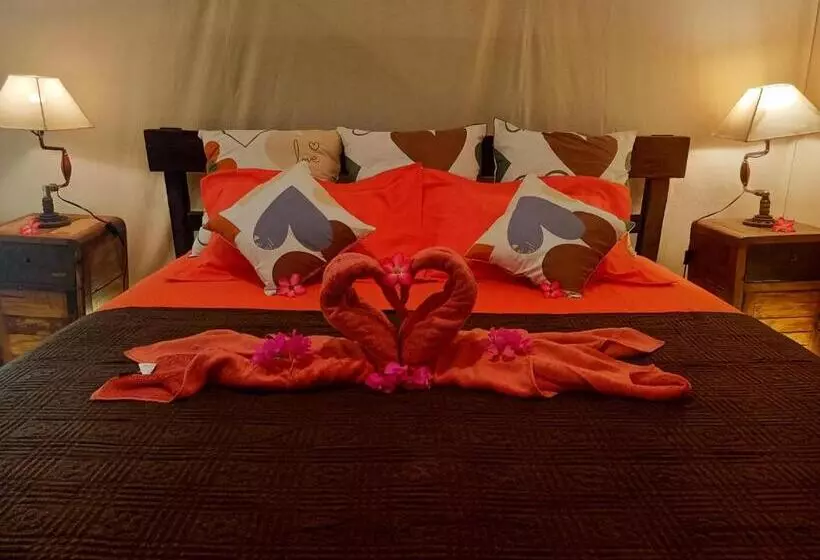 ユースホステル Funkyplace