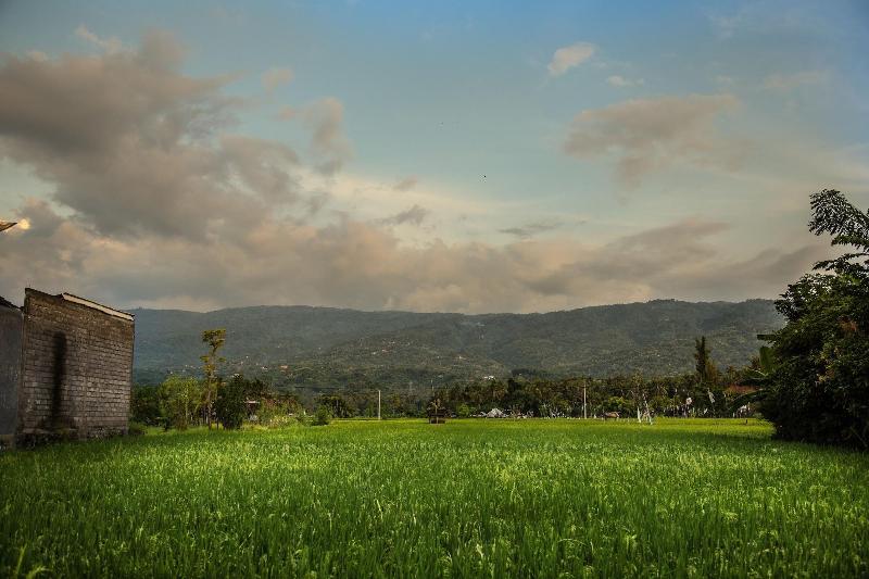 Общежитие Funkyplace