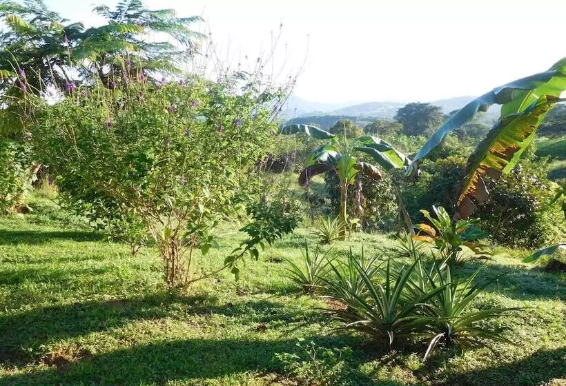 ユースホステル Hostal Casa Las Lajas