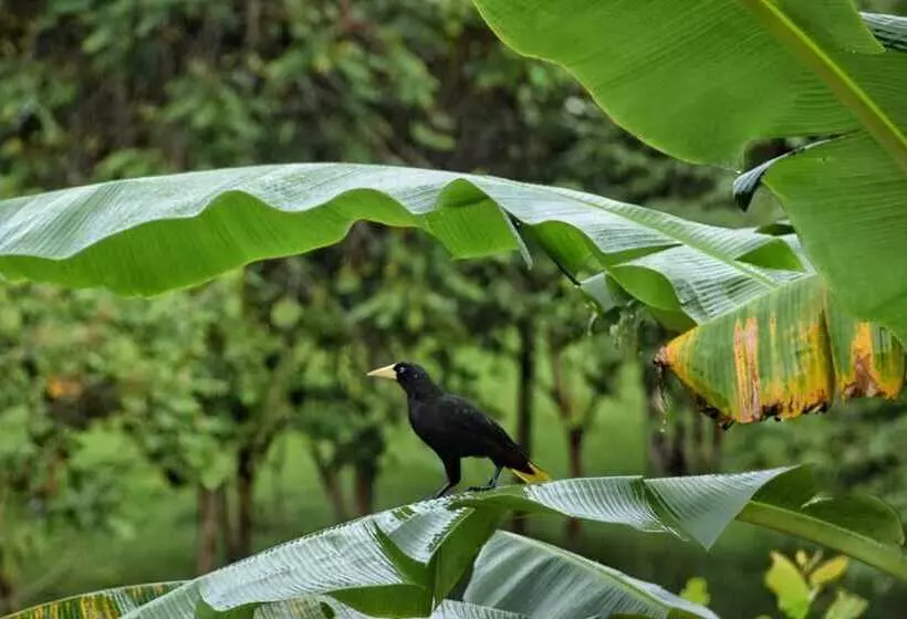 ユースホステル Hostal Casa Las Lajas