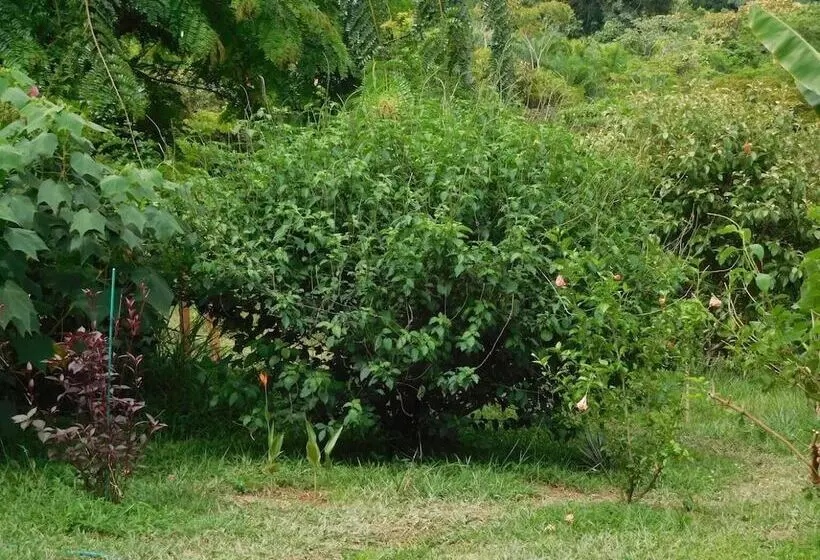 ユースホステル Hostal Casa Las Lajas