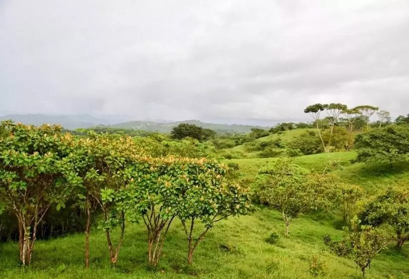 ユースホステル Hostal Casa Las Lajas