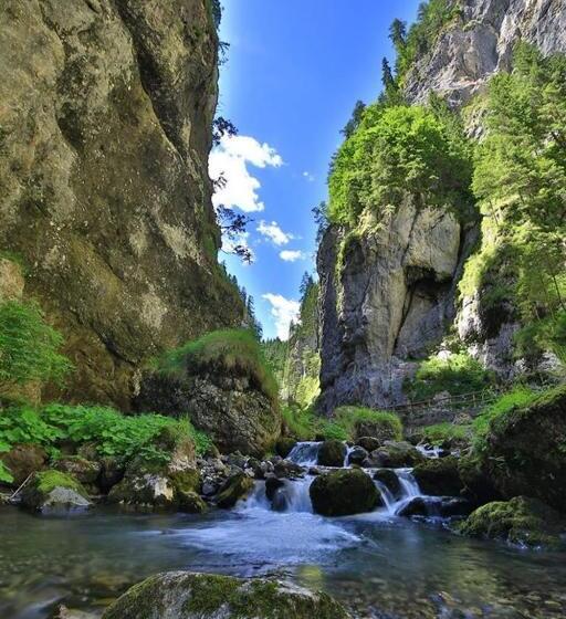 Alpenhotel La Montanara