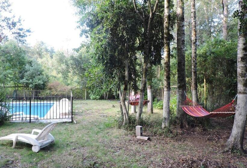 Casa De Noah Bed & Breakfast