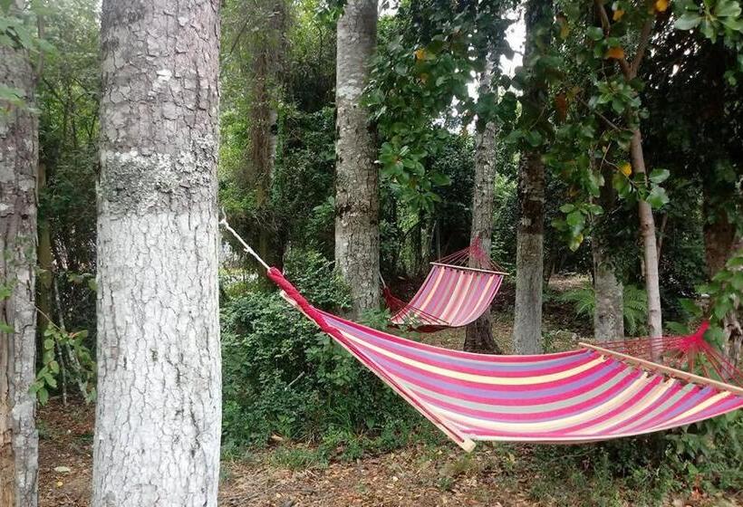 Casa De Noah Bed & Breakfast