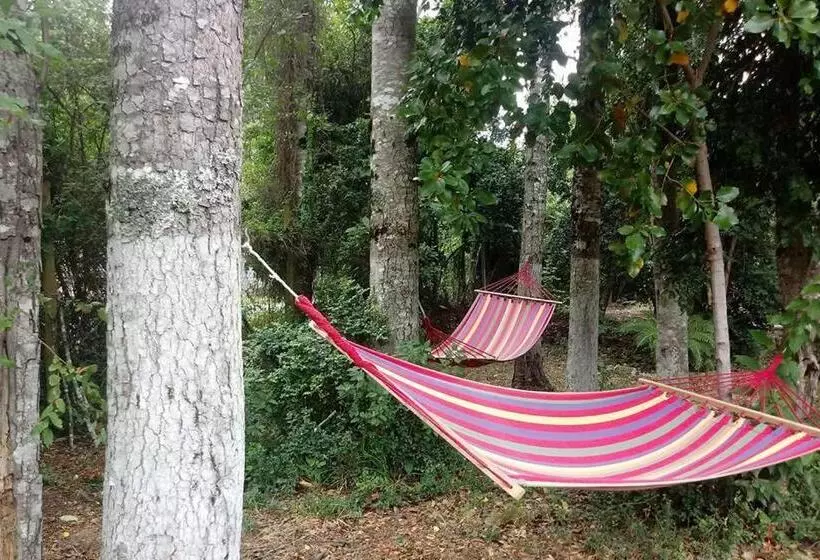 Casa De Noah Bed & Breakfast