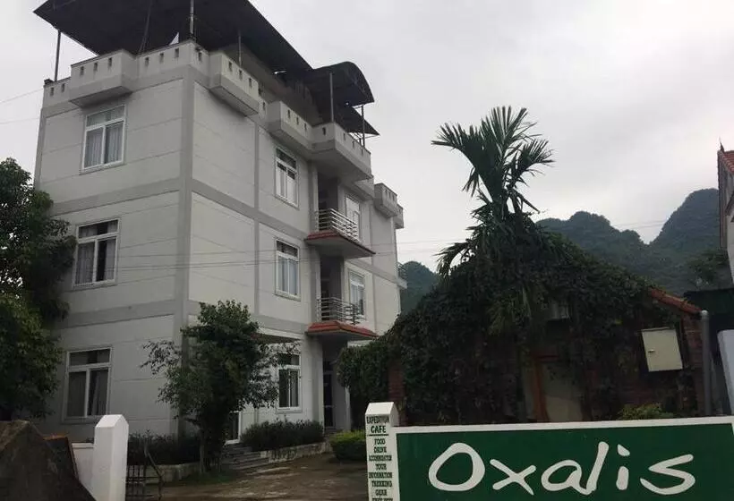 هتل Oxalis Home