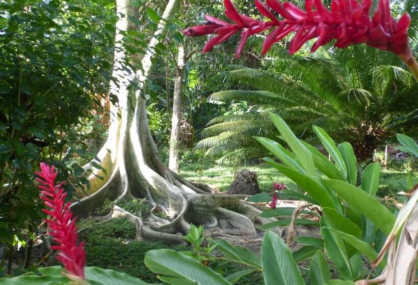 پانسیون Alizées Moreré