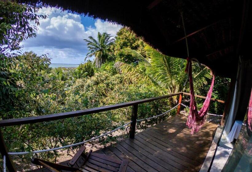 پانسیون Alizées Moreré