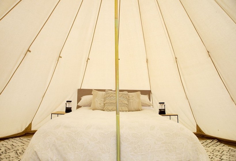 膳宿费 Goldfield Glamping