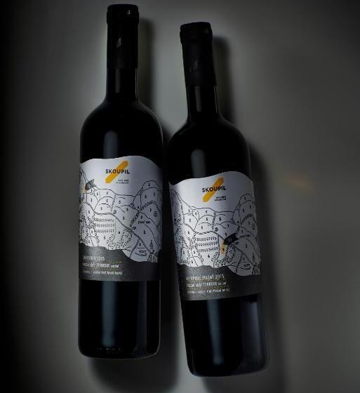 פנסיון Rodinné Vinařství Skoupil