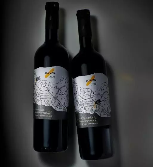 Majatalo Rodinné Vinařství Skoupil