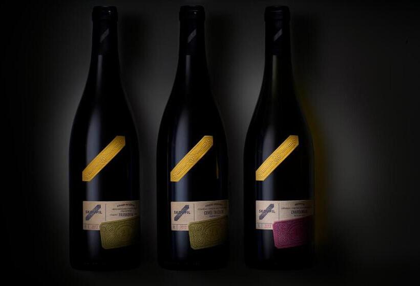 פנסיון Rodinné Vinařství Skoupil