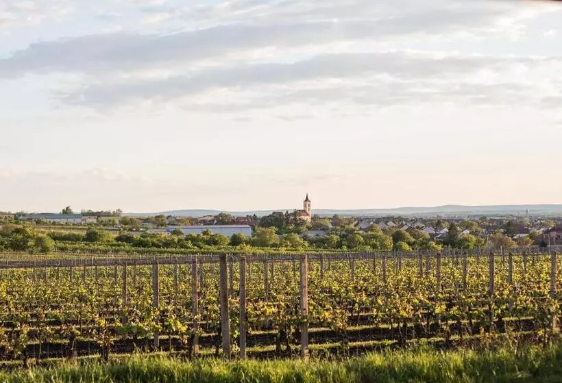 Majatalo Rodinné Vinařství Skoupil