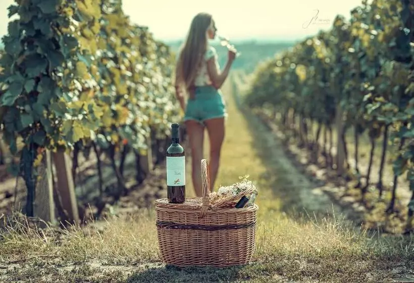 Majatalo Rodinné Vinařství Skoupil