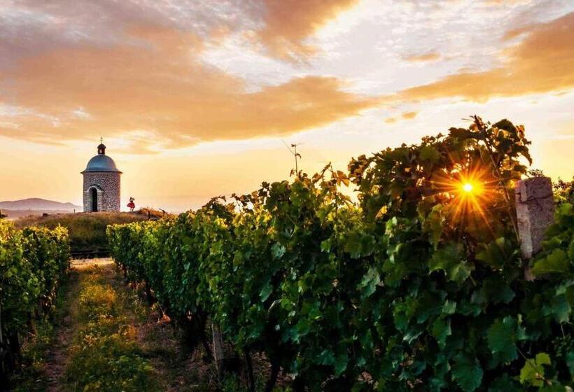 פנסיון Rodinné Vinařství Skoupil