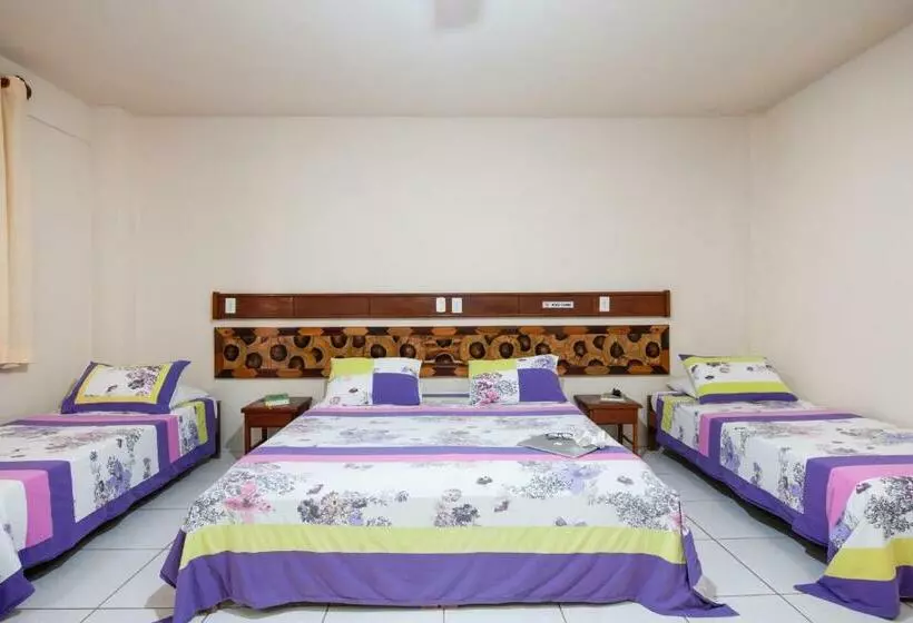 ペンション Pousada Pau Brasil Ubu