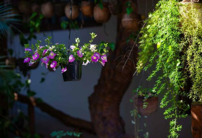 پانسیون Pousada Pau Brasil Ubu