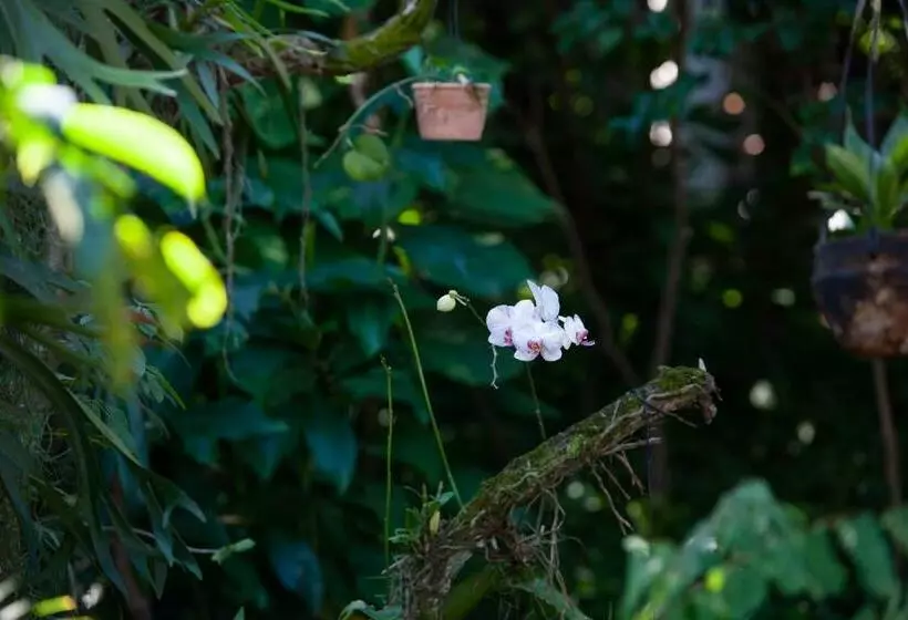 ペンション Pousada Pau Brasil Ubu