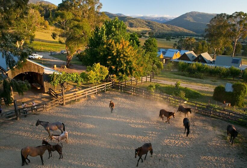 פנסיון Spring Spur Stay