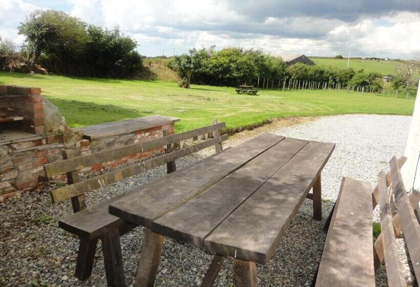 Bed and Breakfast Rame Barton Guest House And Pottery