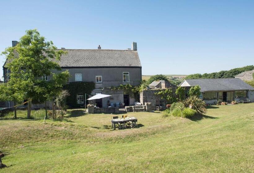 Bed and Breakfast Rame Barton Guest House And Pottery