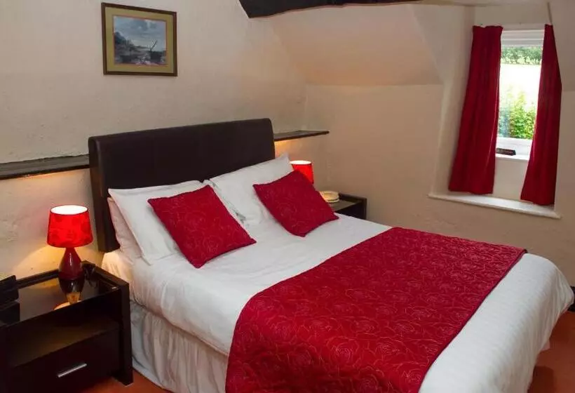 Hotelli Gwesty Minffordd