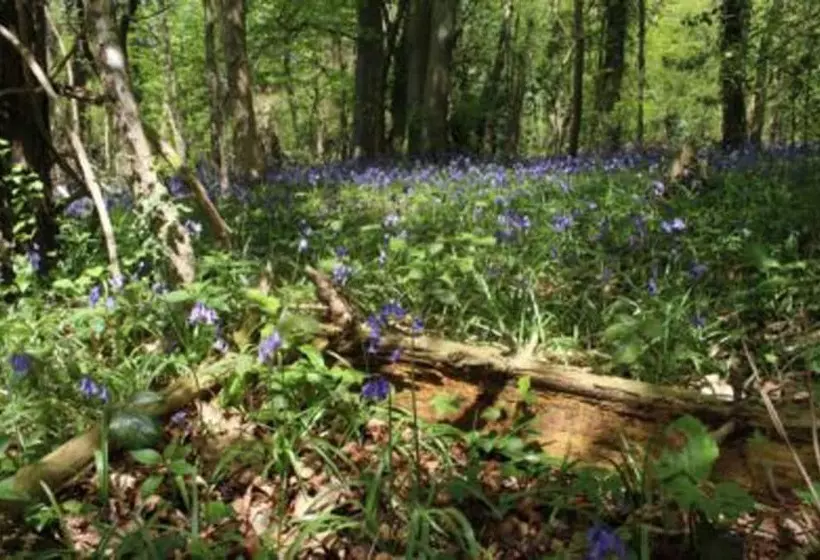 Cotswolds Valleys Accommodation Springfl