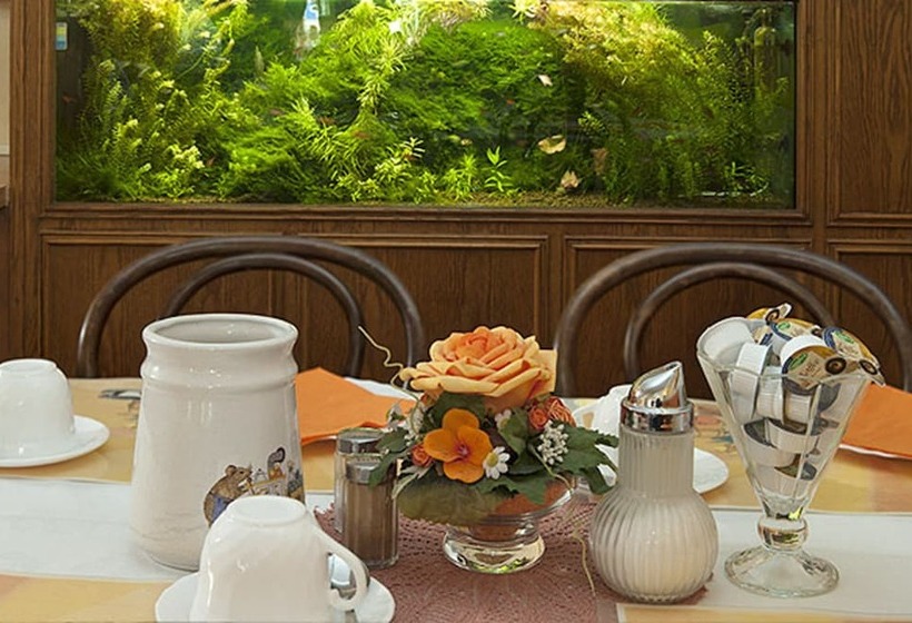 酒店 Heiderose Garni