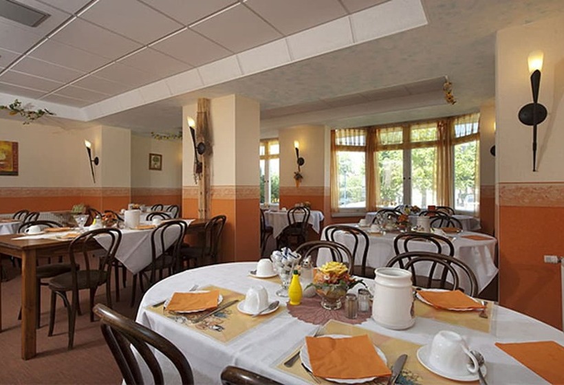 酒店 Heiderose Garni