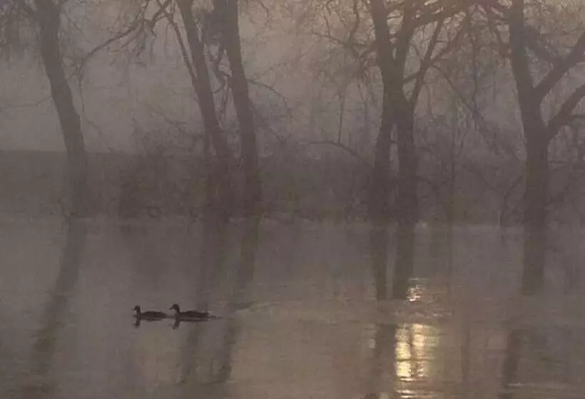 Severnside Bed & Breakfast