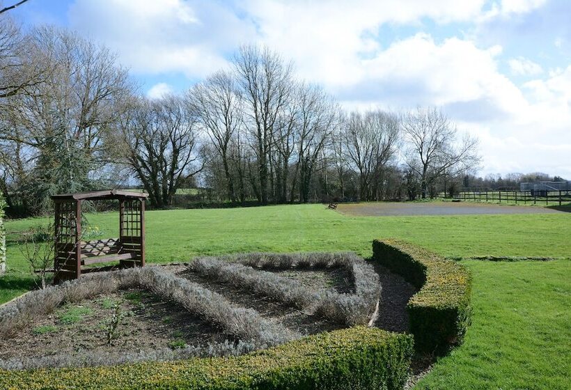 住宿加早餐  The Old School