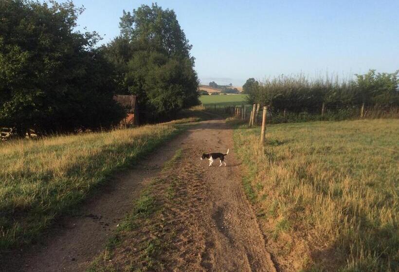 Bed and Breakfast The Rear Of The Plough,everdon