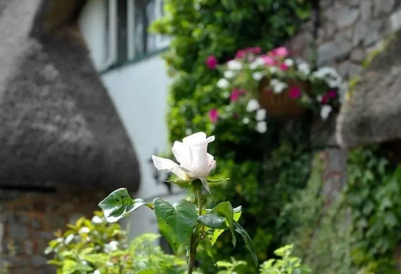 Greyhound Country Inn