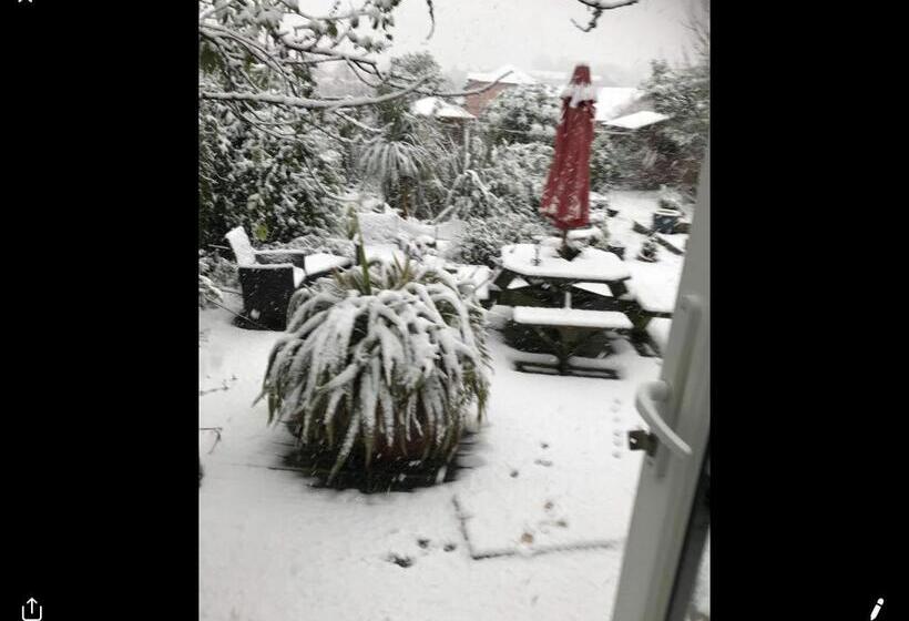 Bed and Breakfast Gwynarth Guest House