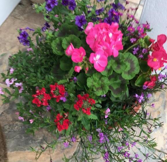 Bed and Breakfast Gwynarth Guest House