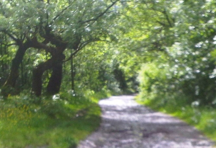 Хостел The Hendrewen