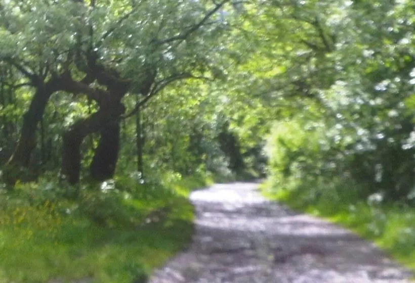 Hostelli The Hendrewen