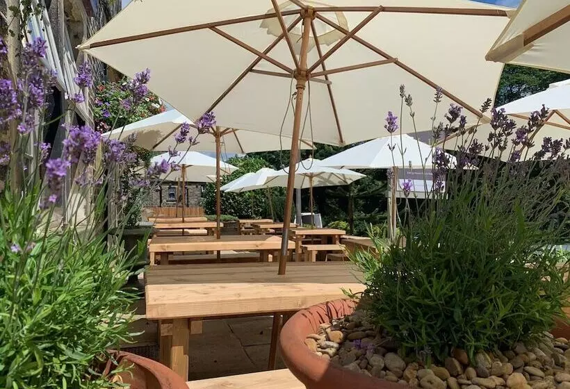 簡易ホテル The Malthouse