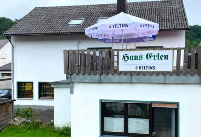 Отель Haus Erlen
