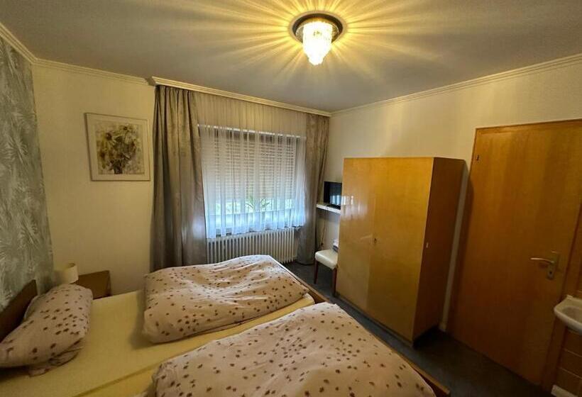 Отель Haus Erlen