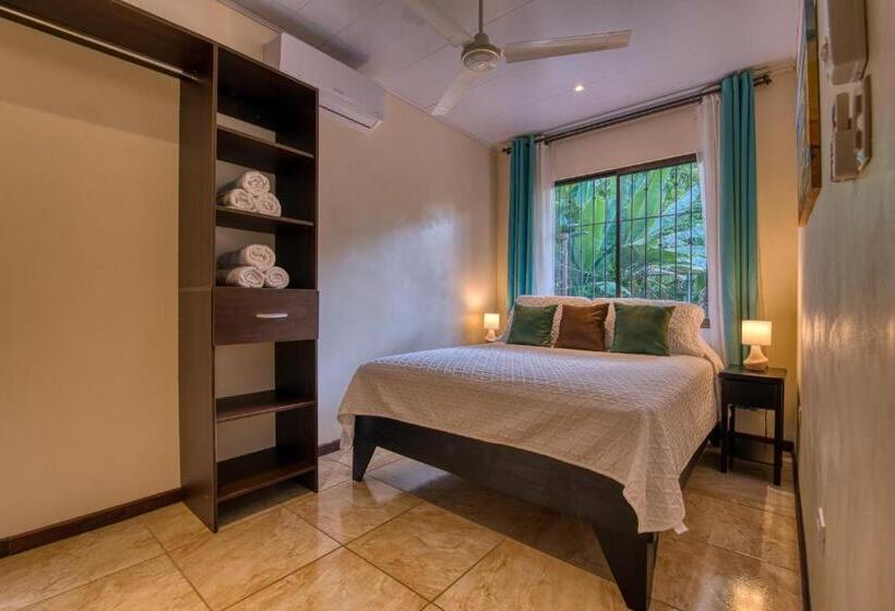 پانسیون Arococles