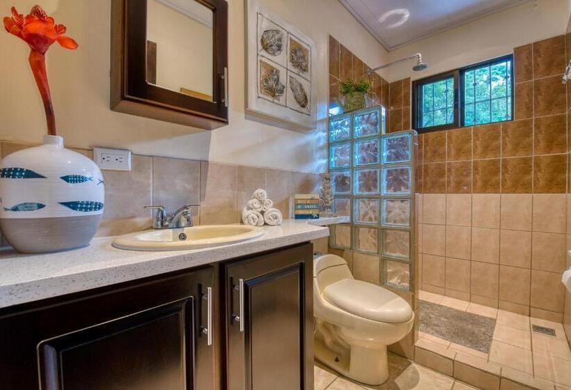 پانسیون Arococles