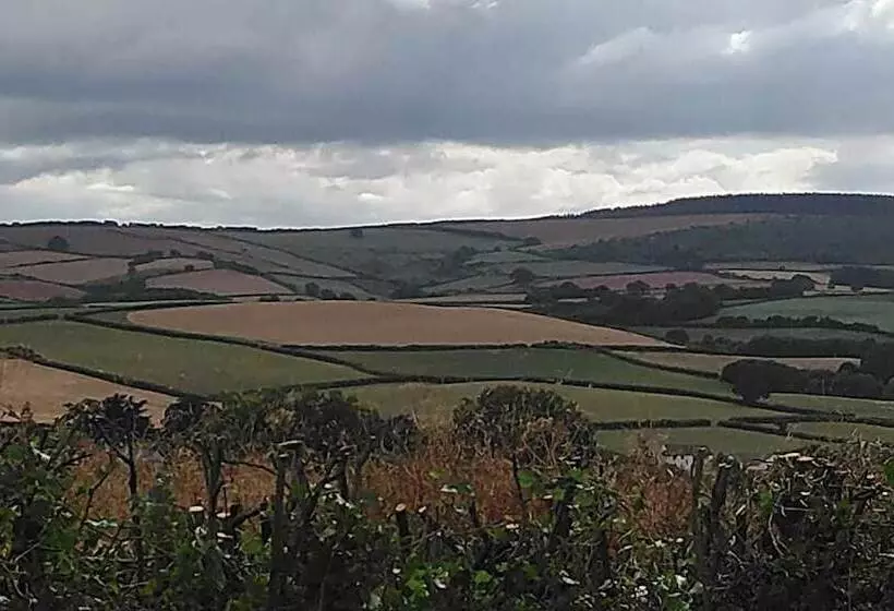 Majatalo Cedar House