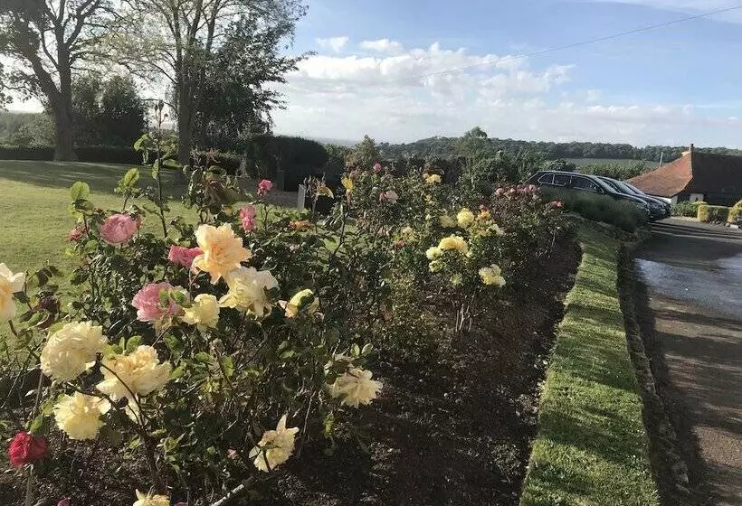 Majatalo Cedar House