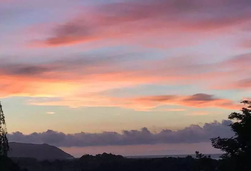 Majatalo Cedar House