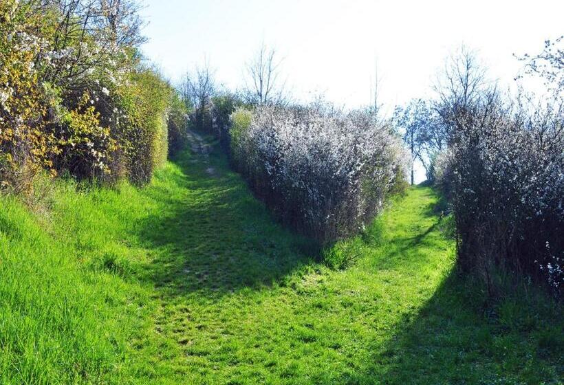 פנסיון Hofgarten Rosa