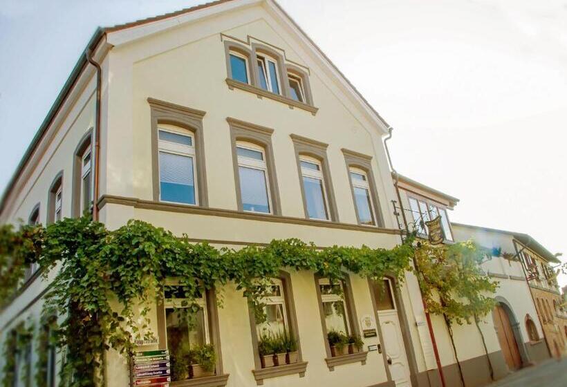 פנסיון Hofgarten Rosa