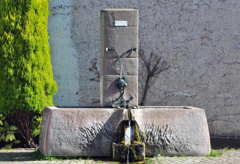 פנסיון Hofgarten Rosa