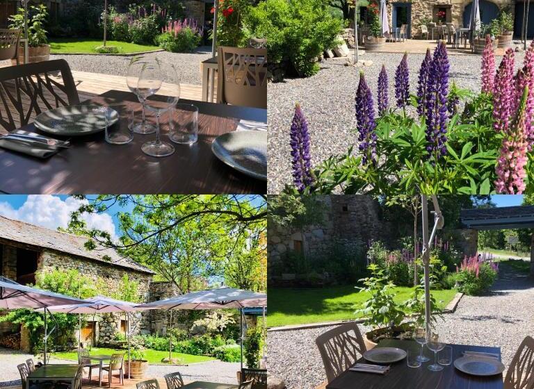 هاستل Cal Xandera